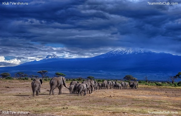 Kilimanjaro. Summary, photo 69