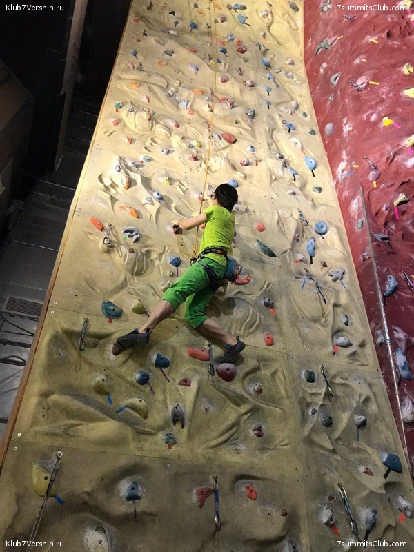 ���������� ������ ����� 2018 - 2019, photo 115