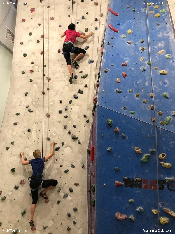 ���������� ������ ����� 2018 - 2019, photo 117