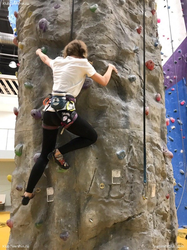 ���������� ������ ����� 2018 - 2019, photo 119