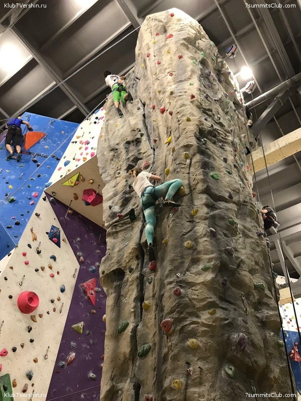 ���������� ������ ����� 2018 - 2019, photo 120