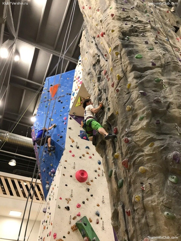 ���������� ������ ����� 2018 - 2019, photo 121