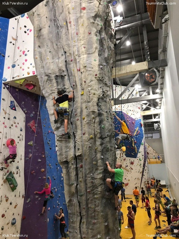 ���������� ������ ����� 2018 - 2019, photo 125