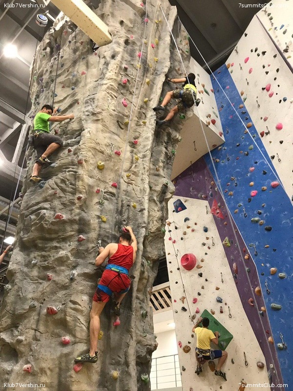 ���������� ������ ����� 2018 - 2019, photo 126