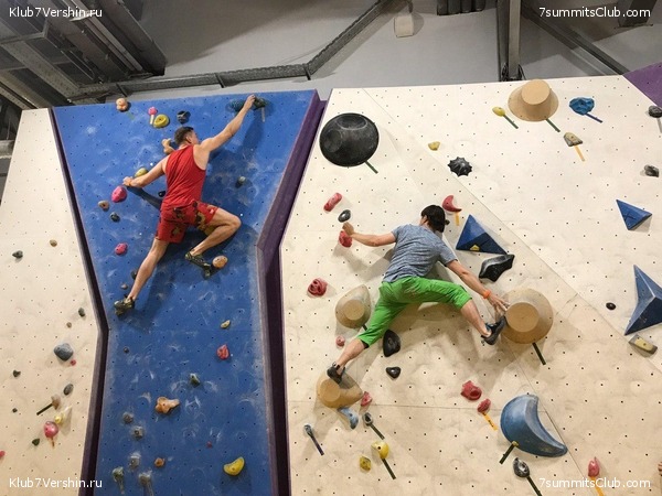 ���������� ������ ����� 2018 - 2019, photo 75