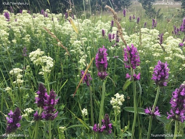 �������� ���� � �����, photo 95