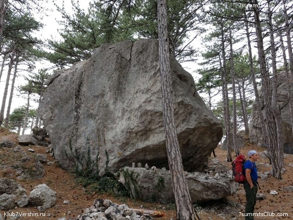 �������� ���� � �����, photo 96