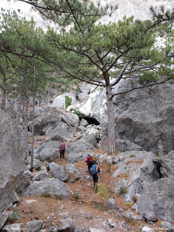 �������� ���� � �����, photo 144