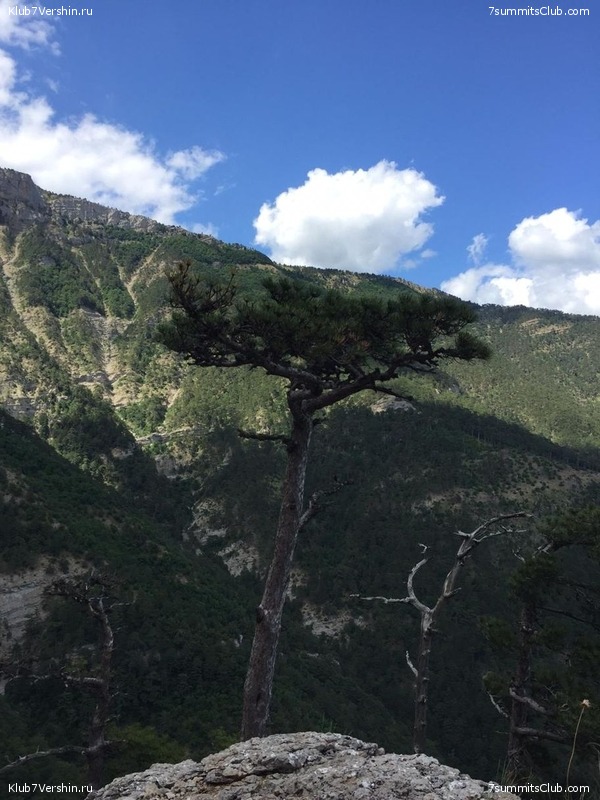 �������� ���� � �����, photo 150