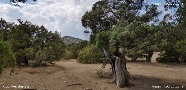 �������� ���� � �����, photo 7