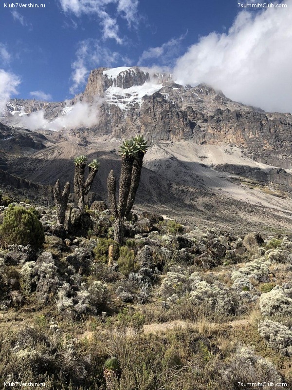 Kilimanjaro. Summary, photo 259