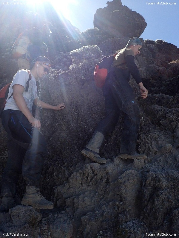 Kilimanjaro. Summary, photo 260