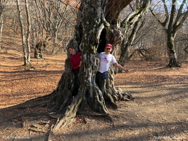 �������� ���� � �����, photo 107