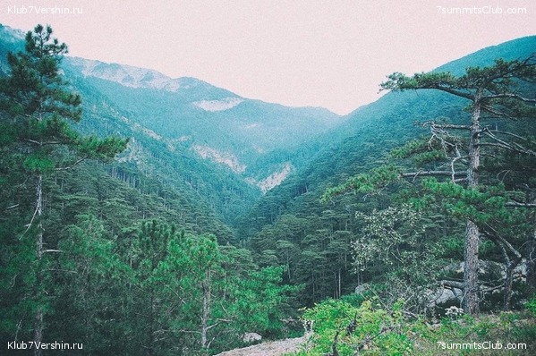 �������� ���� � �����, photo 60