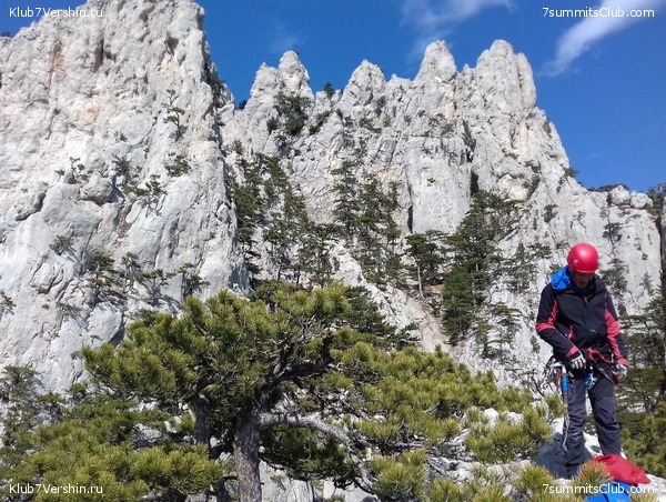 �������� ���� � �����, photo 108