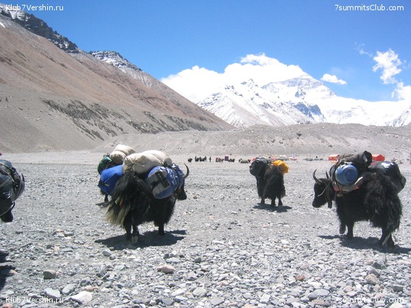 Everest 2004, photo 82