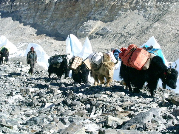 Everest 2004, photo 88