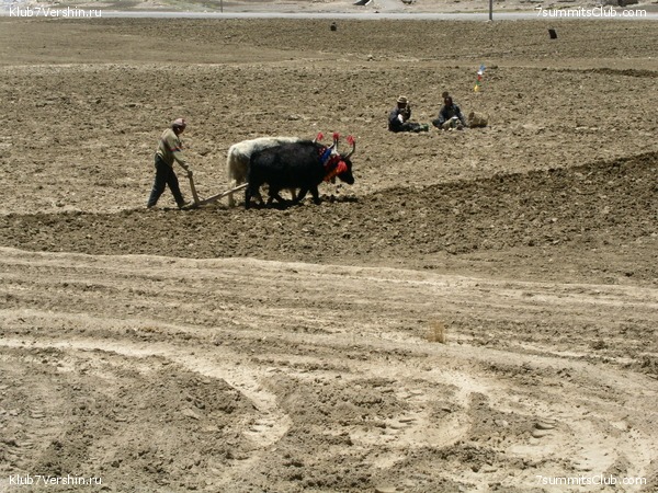 Everest 2004, photo 92