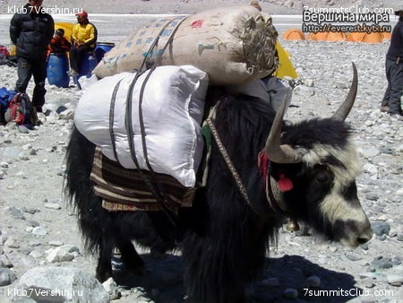 Everest 2007, photo 112