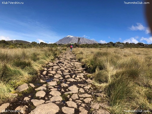 Kilimanjaro. Summary, photo 220