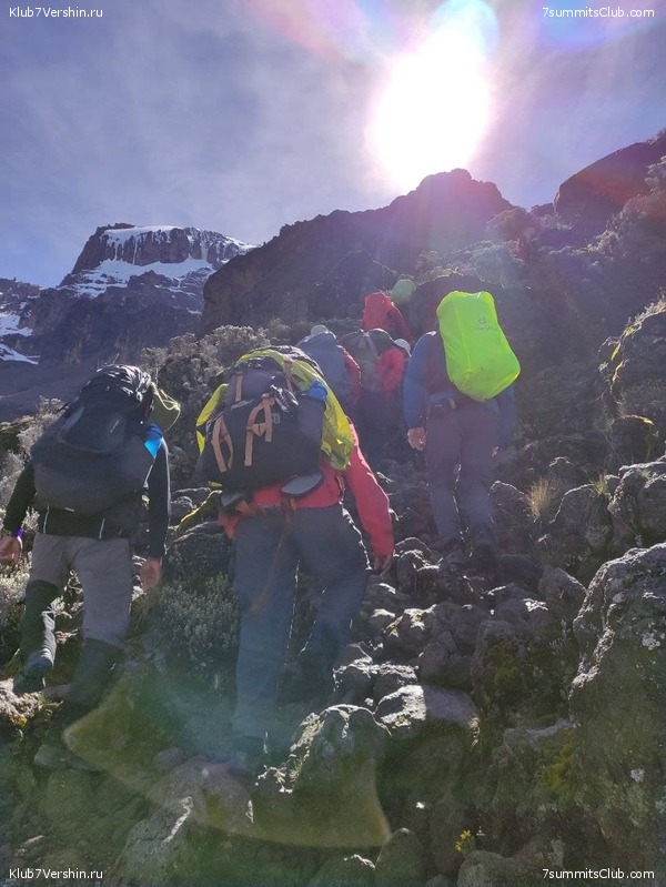 Kilimanjaro. Summary, photo 265