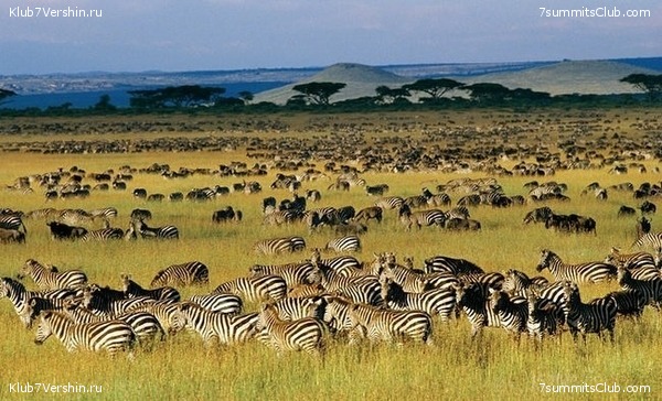 Kilimanjaro. Summary, photo 64