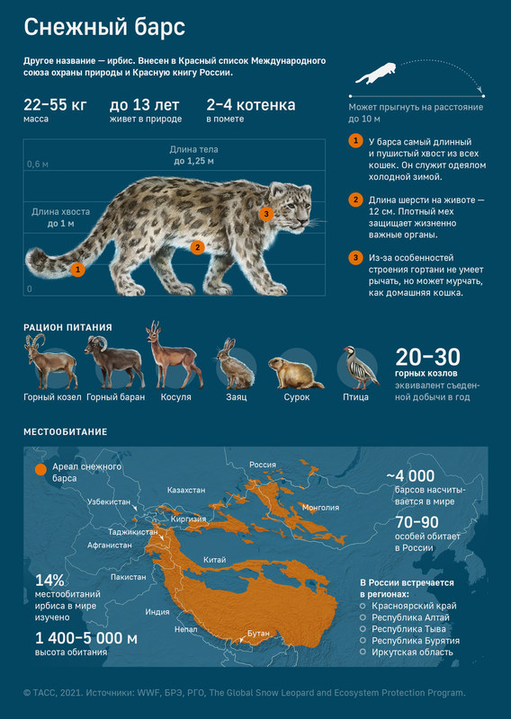 ��������� ������, photo 282