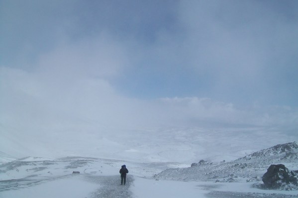 2011 ��� - ����� 2, photo 40