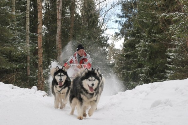 2011 ��� - ����� 2, photo 42