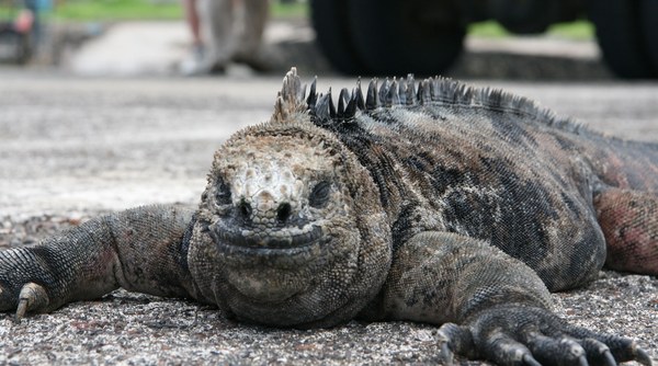 2011 ��� - ����� 2, photo 10