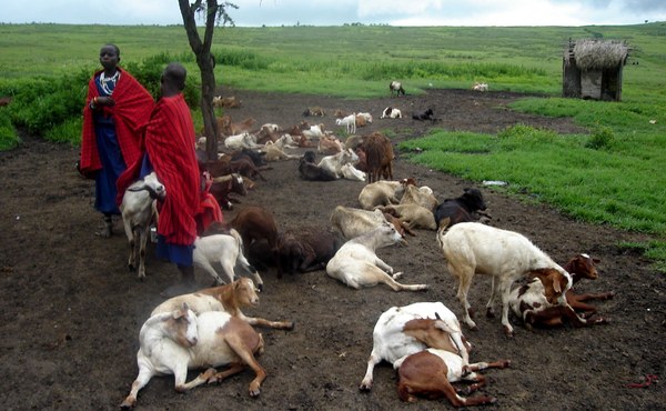 2011 ��� - ����� 2, photo 22