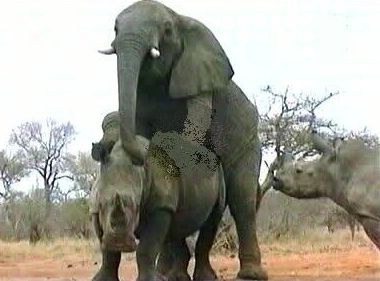 2011 ��� - ����� 2, photo 70