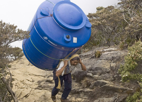 2011 ��� - ����� 2, photo 65