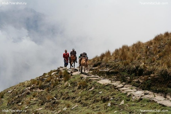 Machu Picchu, photo 15
