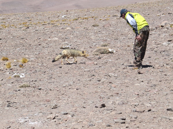 Ojos del Salado 2011 Denis Saveliev, photo 23