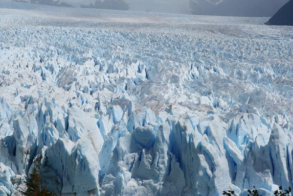 �������� � ���������. ���� ���������. 2012, photo 4