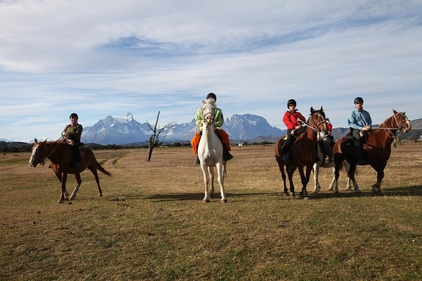 �������� � ���������. ���� ���������. 2012, photo 9