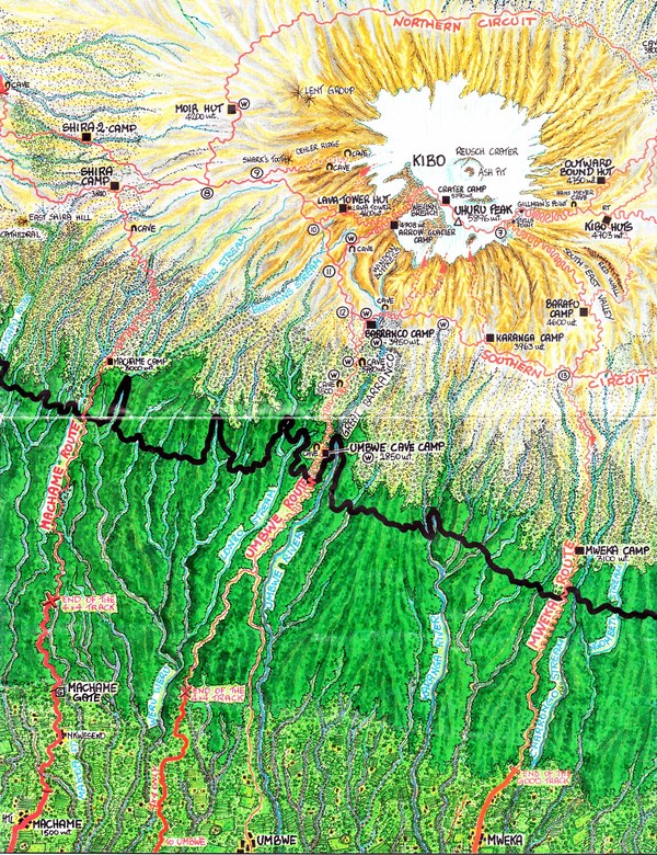 Alpari 7 Sunnits for 300 days, photo 41