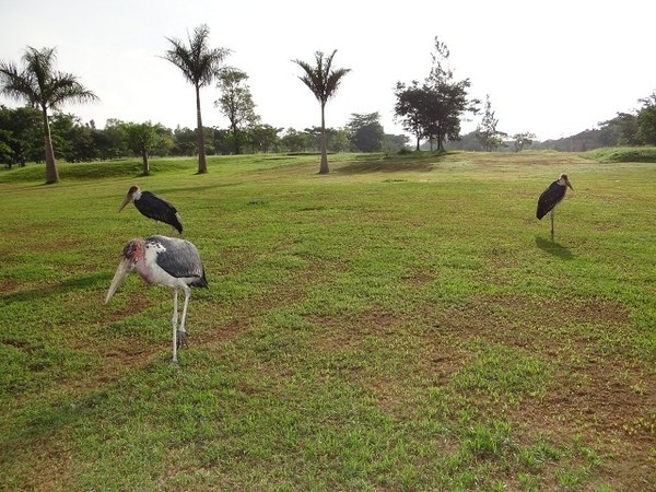 Alpari 7 Sunnits for 300 days, photo 14