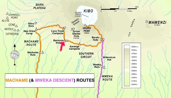 Alpari 7 Sunnits for 300 days, photo 2