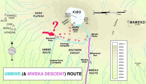 Alpari 7 Sunnits for 300 days, photo 1