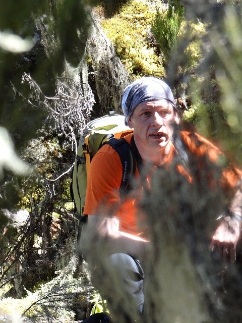 Alpari 7 Sunnits for 300 days, photo 42