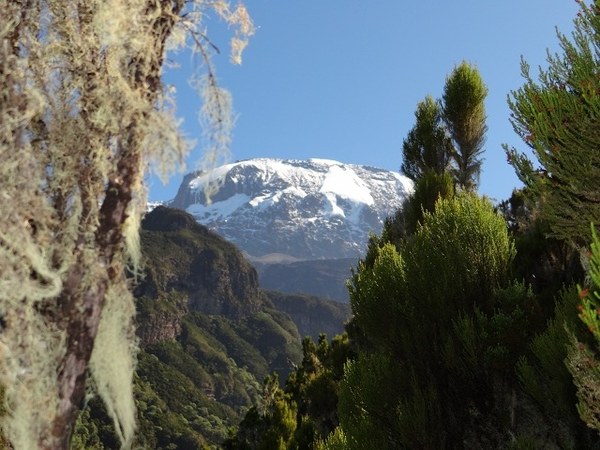 Alpari 7 Sunnits for 300 days, photo 19