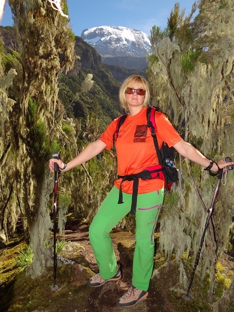 Alpari 7 Sunnits for 300 days, photo 43