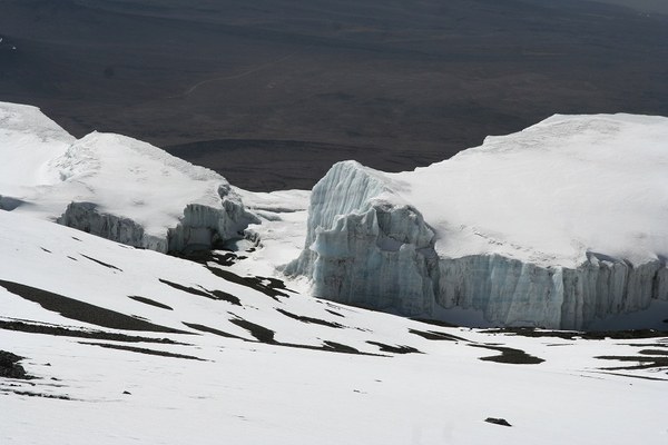 Alpari 7 Sunnits for 300 days, photo 6