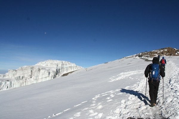 Alpari 7 Sunnits for 300 days, photo 9