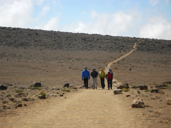 Alpari 7 Sunnits for 300 days, photo 37