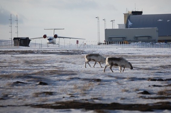 North Pole, photo 12