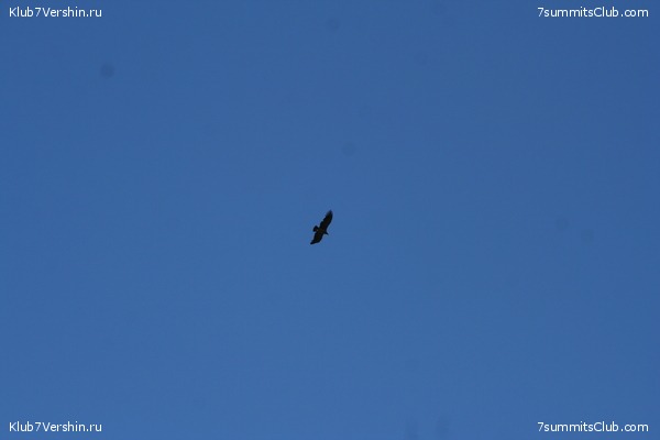 �������� � ���������. ���� ���������. 2012, photo 29