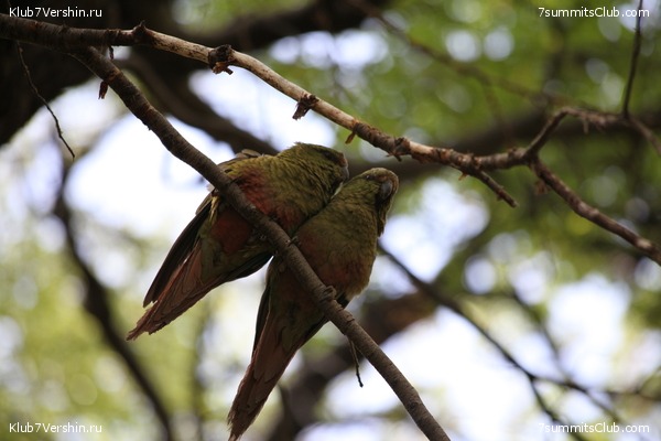 �������� � ���������. ���� ���������. 2012, photo 38